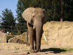 Zoo Dvůr Králové
